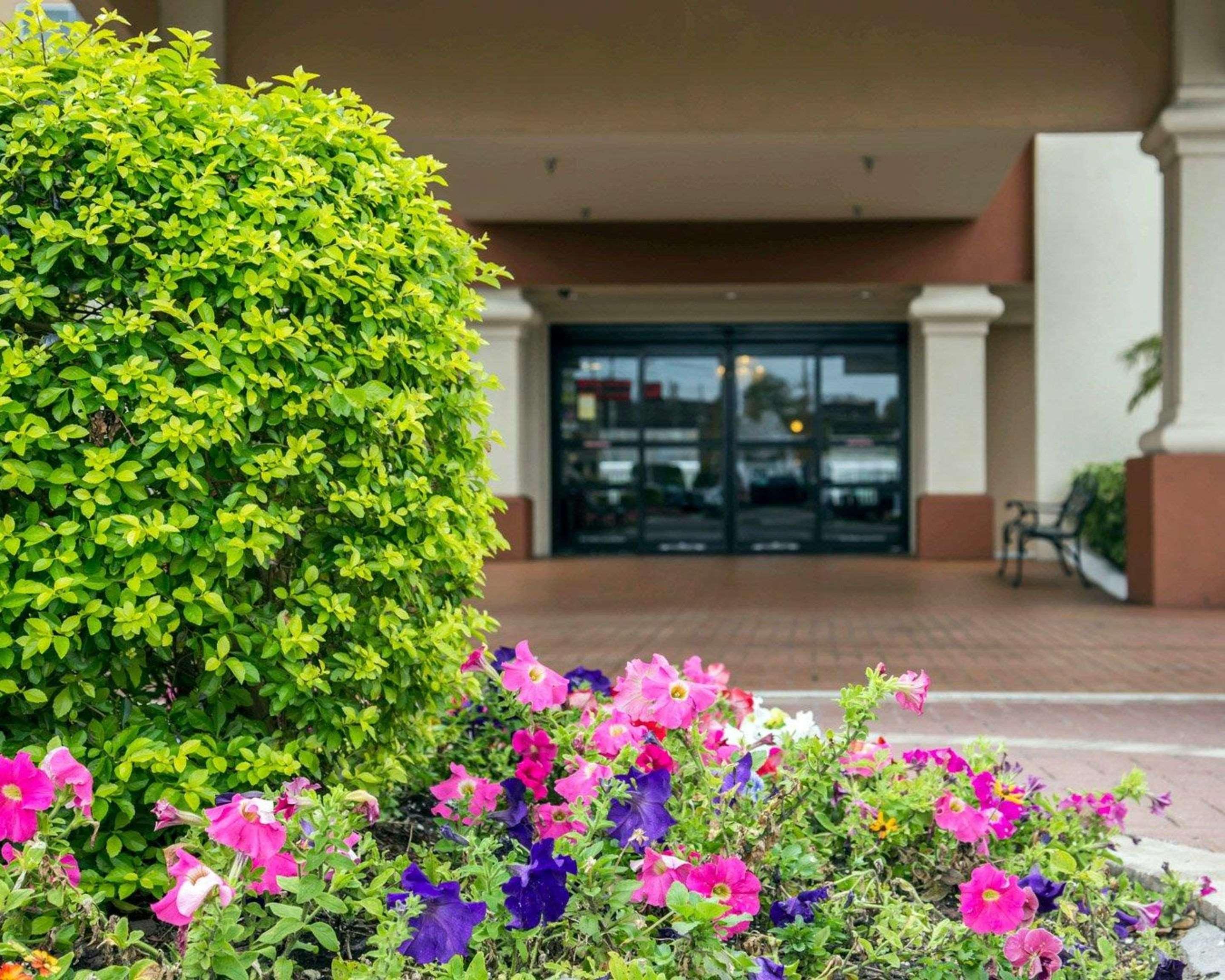 Comfort Inn International Drive Windermere Bagian luar foto